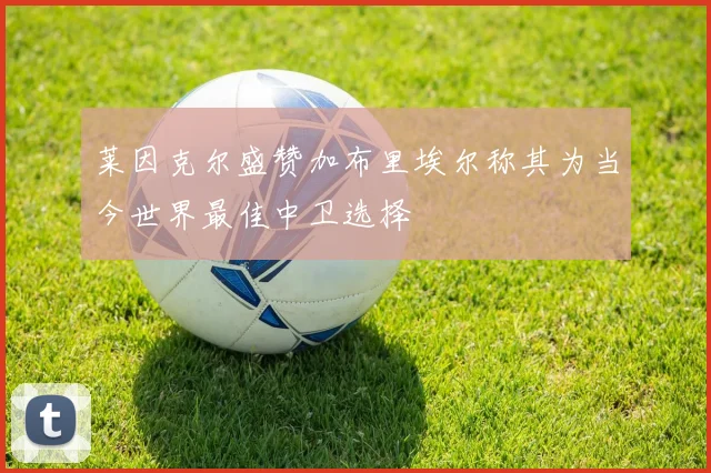 莱因克尔盛赞加布里埃尔称其为当今世界最佳中卫选择