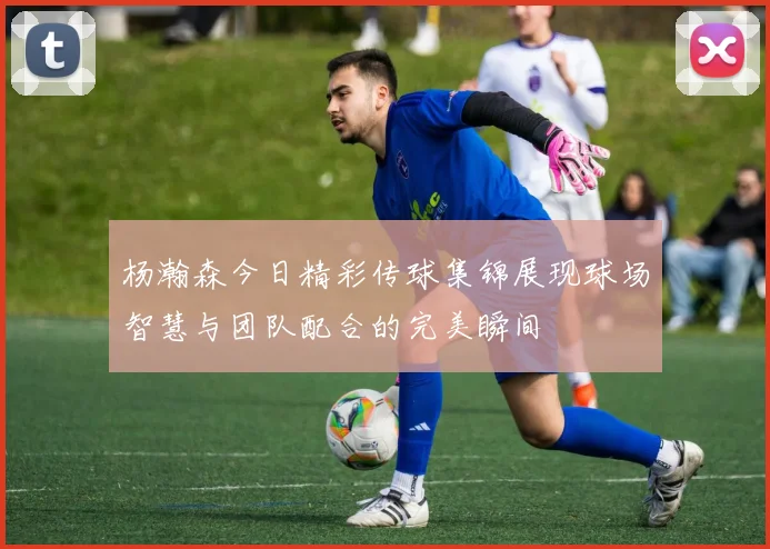 杨瀚森今日精彩传球集锦展现球场智慧与团队配合的完美瞬间