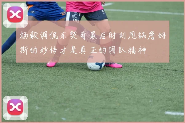 杨毅调侃东契奇最后时刻甩锅詹姆斯的妙传才是真正的团队精神