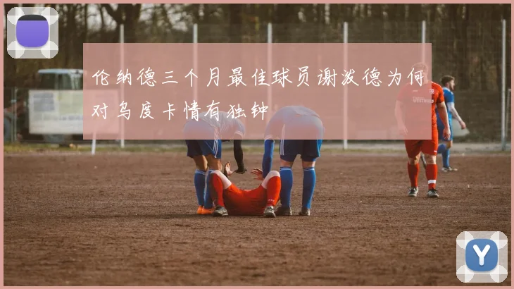 伦纳德三个月最佳球员谢泼德为何对乌度卡情有独钟